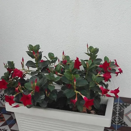 Nocleg ze śniadaniem Demetra 4*