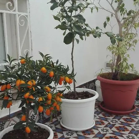 Demetra Nocleg ze śniadaniem